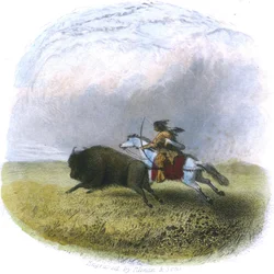 Caccia al bufalo, inciso da Tilman und Sons, 1853